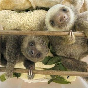 Meet your Posher, Bethany